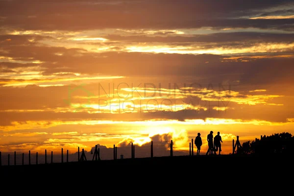 SUNSET-2-M.webp