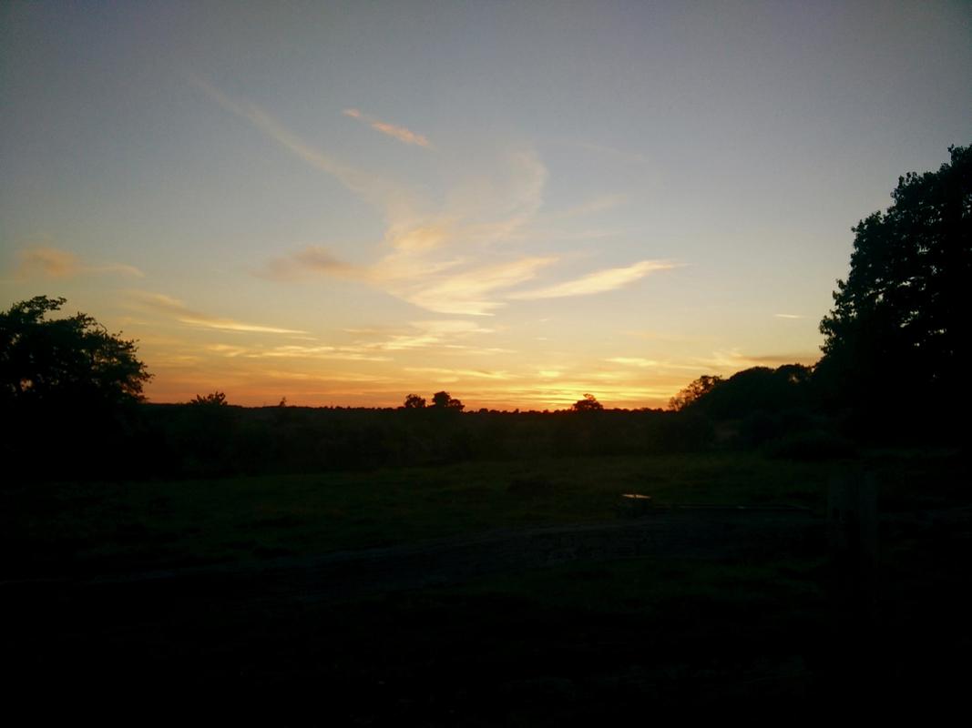 sunset.jpg