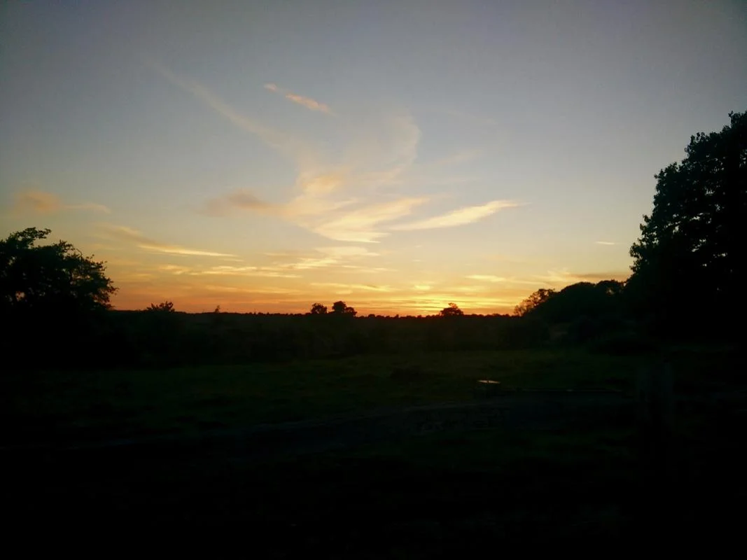 sunset.webp