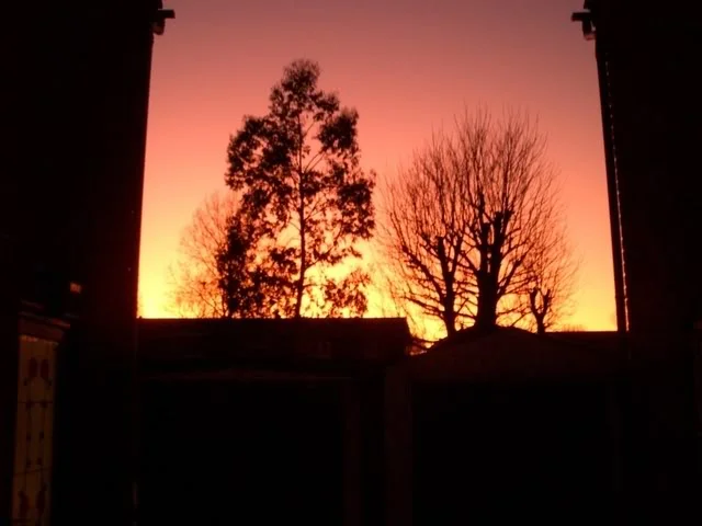 sunset005.webp
