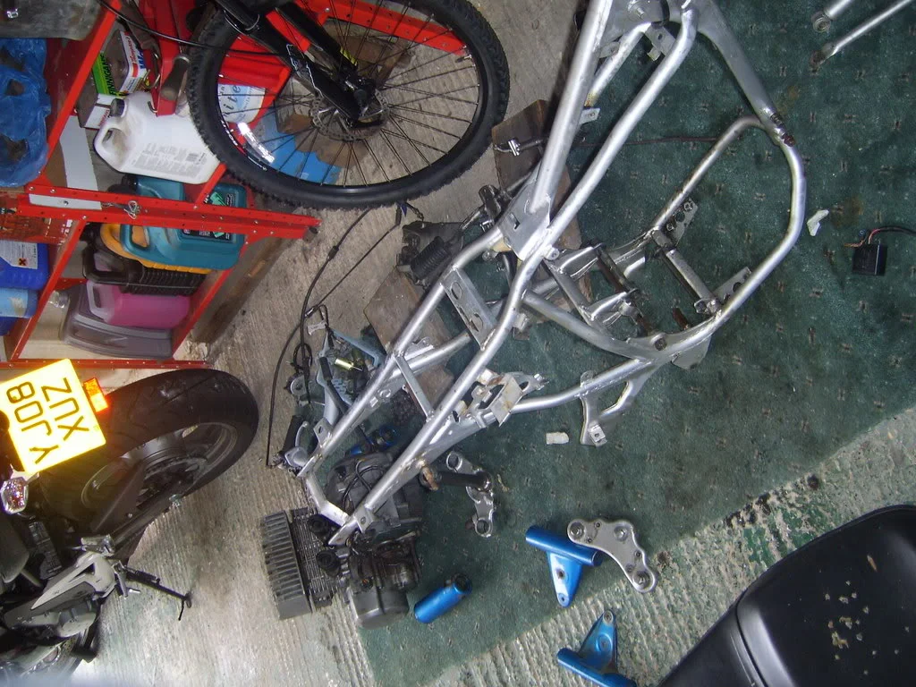 SV100342.webp