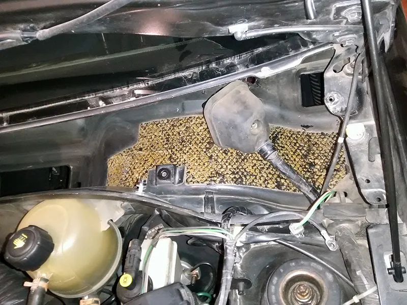 tar_removal_6.webp