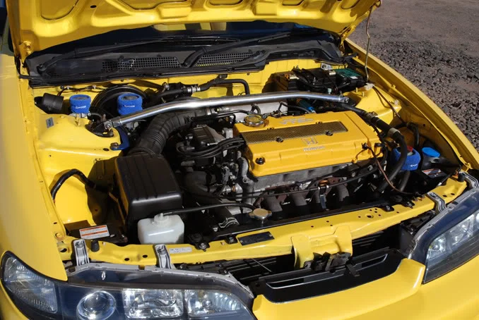 Teg32.webp