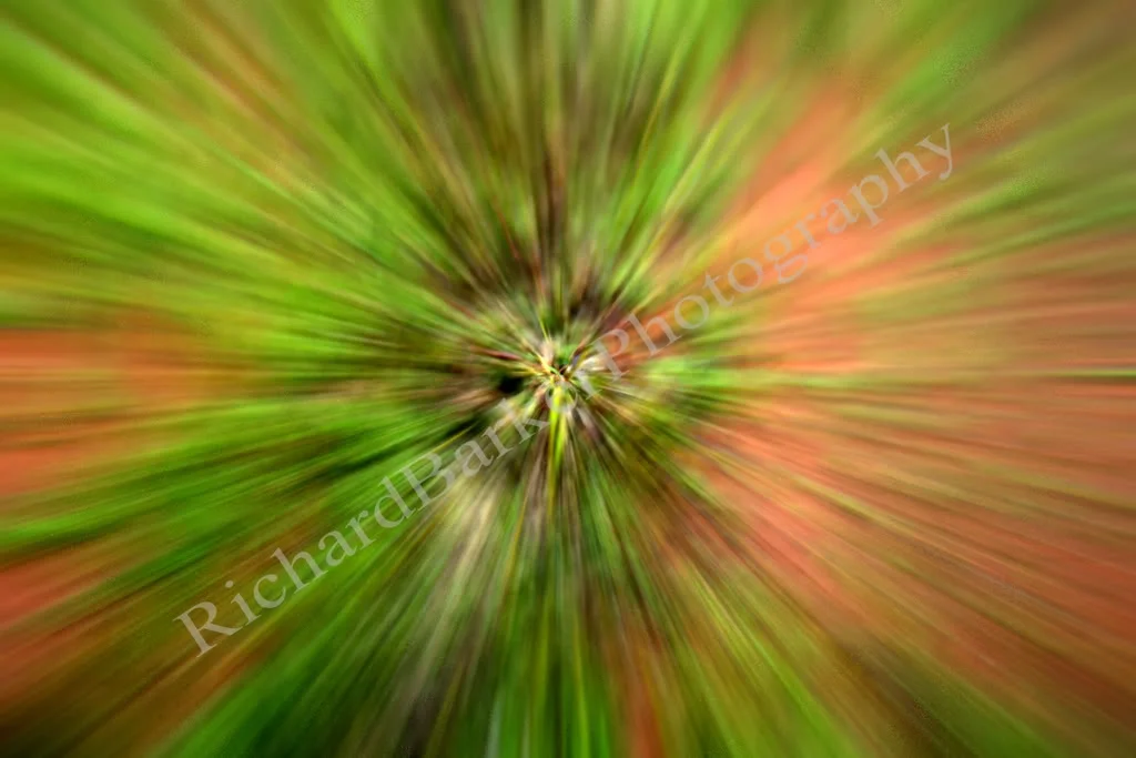 Texturepicfornet.webp