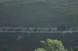 th_0061.webp