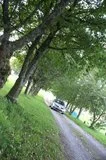 th_0160.webp