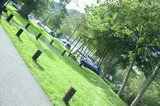 th_0163.webp