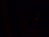 th_02042010.jpg