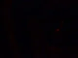 th_02042010.webp