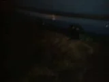 th_15122009059.webp