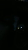 th_20160203_170719_zpsajqegmkq.jpg