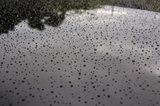 th_3ab7a92f.jpg