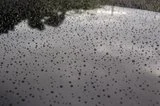 th_3ab7a92f.webp