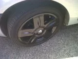 th_8.webp