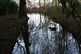 th_castle063.webp