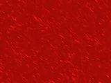 th_Clio1_0001.webp
