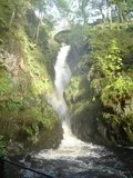 th_DSC00259.webp