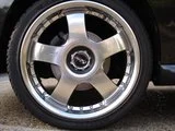 th_DSC00309-1.webp