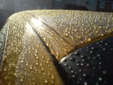 th_DSC00425.jpg
