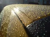 th_DSC00425.webp