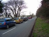 th_DSC01735.jpg