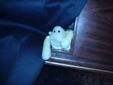 th_Dsc01836.webp
