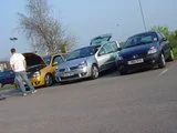 th_DSC02541.webp