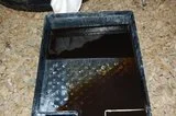 th_DSC_0033.webp
