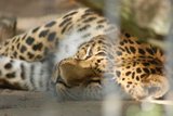 th_DSC_0054.jpg