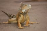 th_DSC_0075.jpg