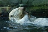 th_DSC_0090.jpg