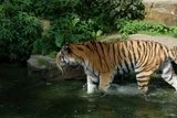 th_DSC_0133.webp