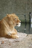 th_DSC_0173.jpg