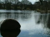 th_DSCF0024.webp