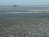 th_DSCF0076.webp
