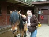 th_DSCF0132.webp