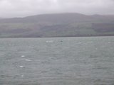 th_DSCF1427.jpg