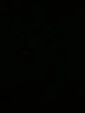th_IMG_0494.webp