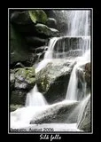 th_IMG_3559-PSs.webp