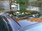 th_Megane063.webp