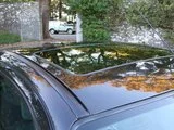 th_Megane064.webp