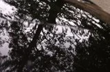 th_mini-PICT0029.webp