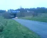 th_MOV00003.webp