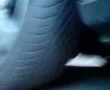 th_MOV00033.webp