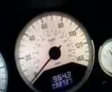 th_MOV00037.webp