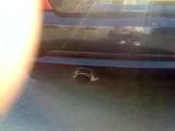th_MOV00175.webp