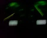 th_MOV00265.webp