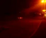 th_MOV00272.webp