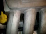 th_MOV00369.webp