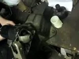 th_MOV00387.webp